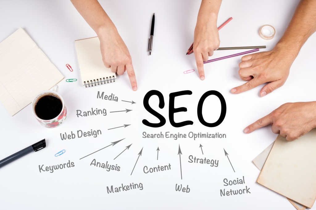 SEO Experts In Auckland